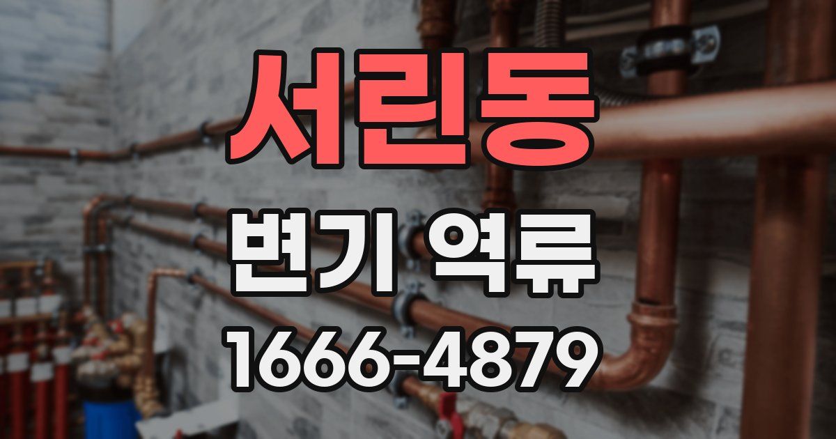 서린동 변기 역류