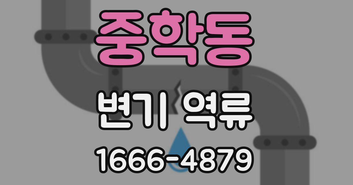 중학동 변기 역류