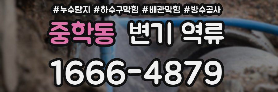 중학동 변기 역류
