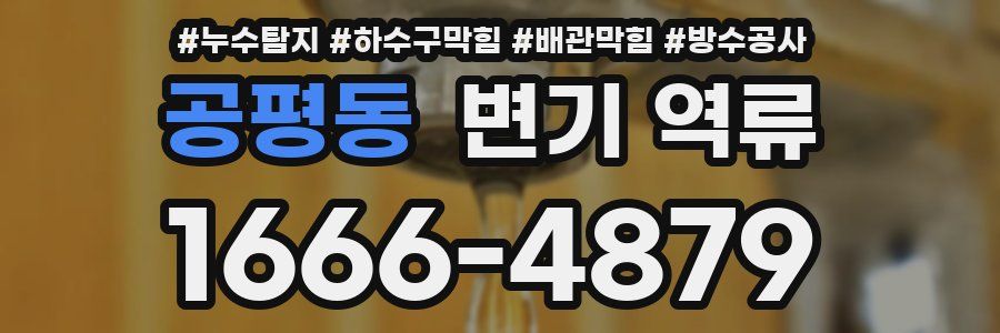 공평동 변기 역류