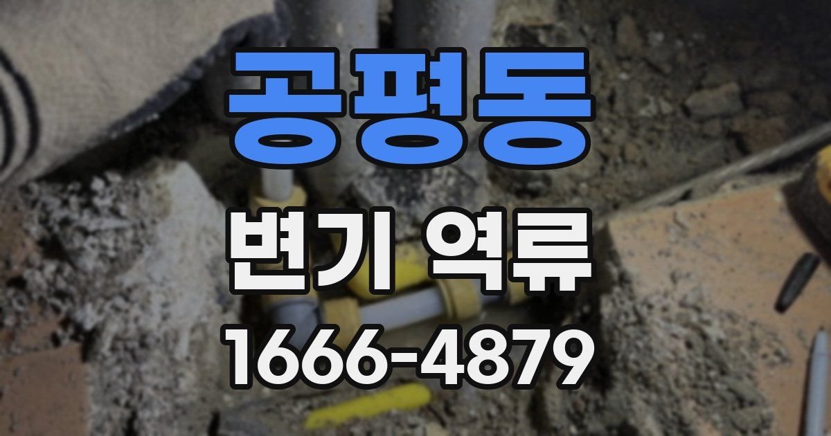 공평동 변기 역류