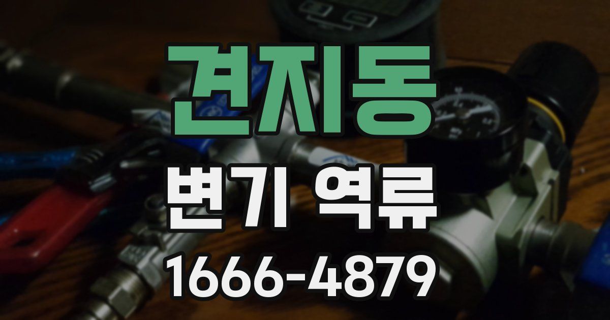 견지동 변기 역류