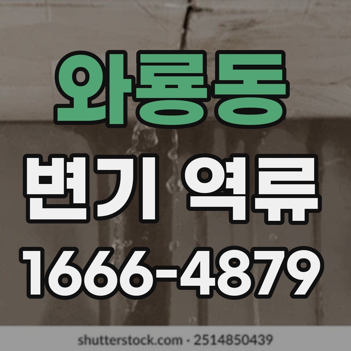 와룡동 변기 역류 갑자기 생겼을 때 점검 순서