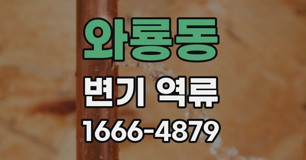 와룡동 변기 역류