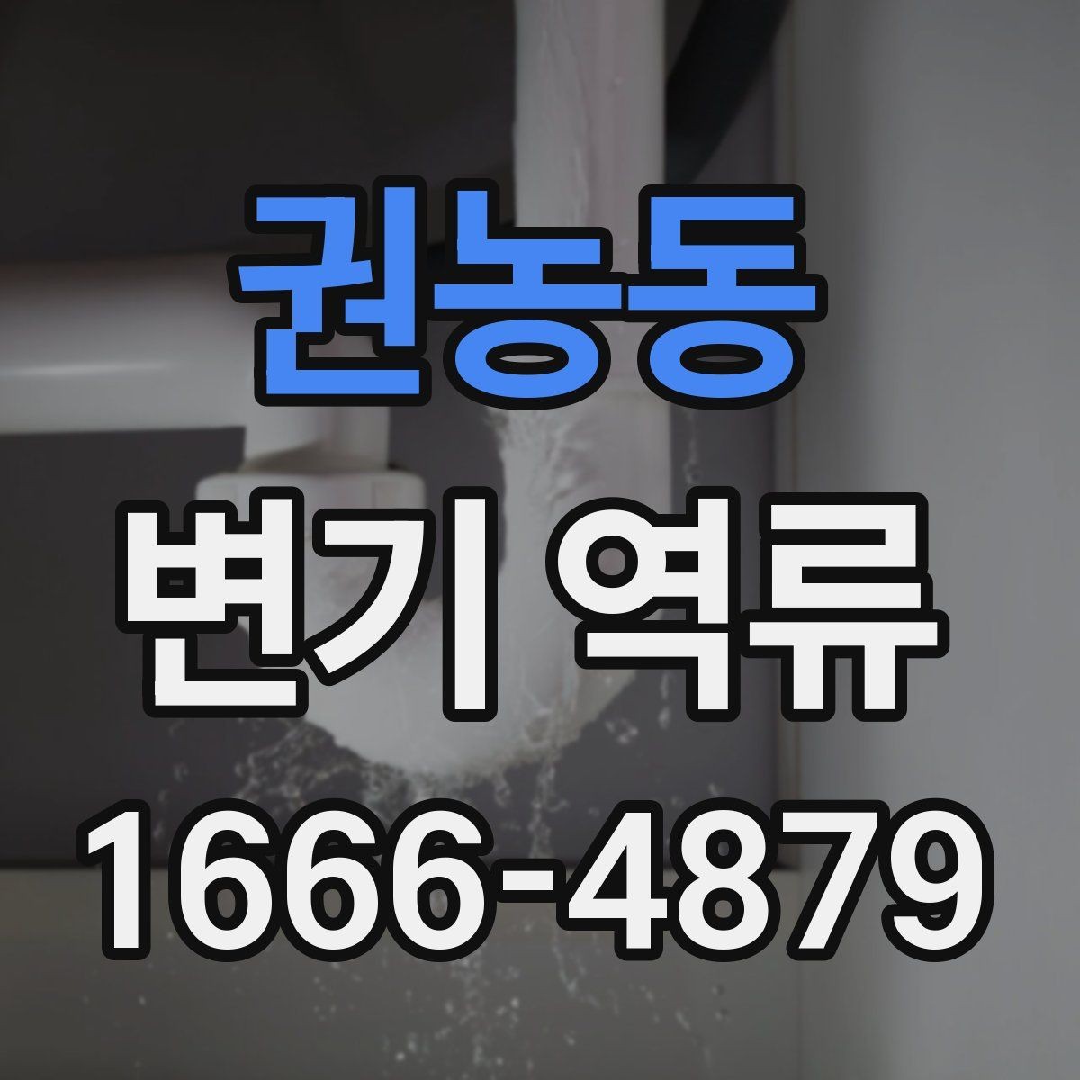 권농동 변기 역류 화장실 배수 문제를 구별하는 기준