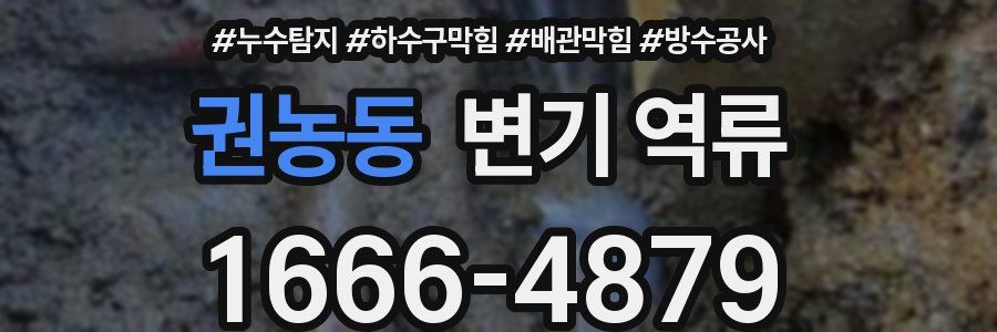 권농동 변기 역류