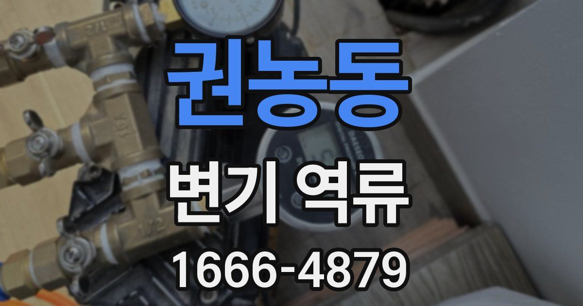 권농동 변기 역류