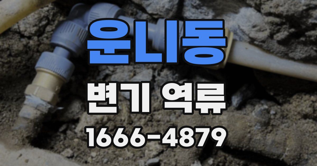 운니동 변기 역류