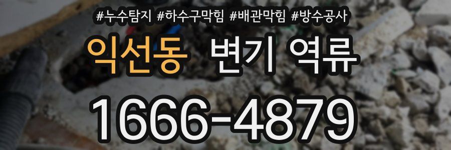 익선동 변기 역류