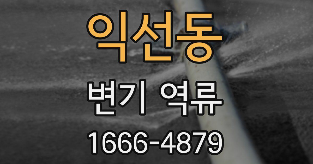 익선동 변기 역류