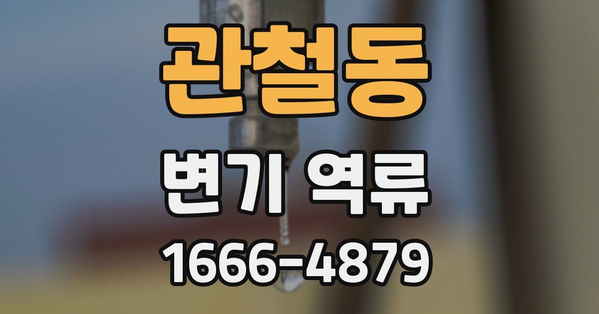 관철동 변기 역류