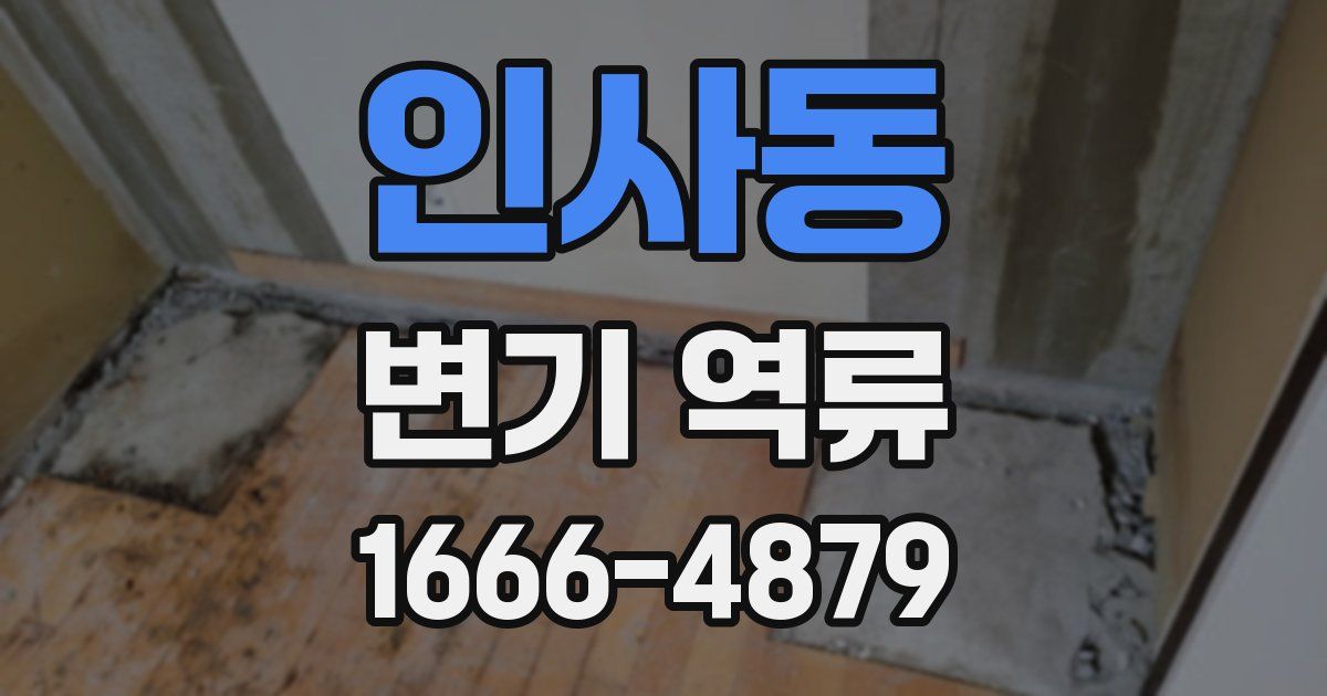 인사동 변기 역류