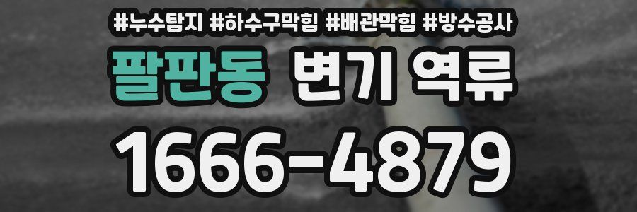 팔판동 변기 역류