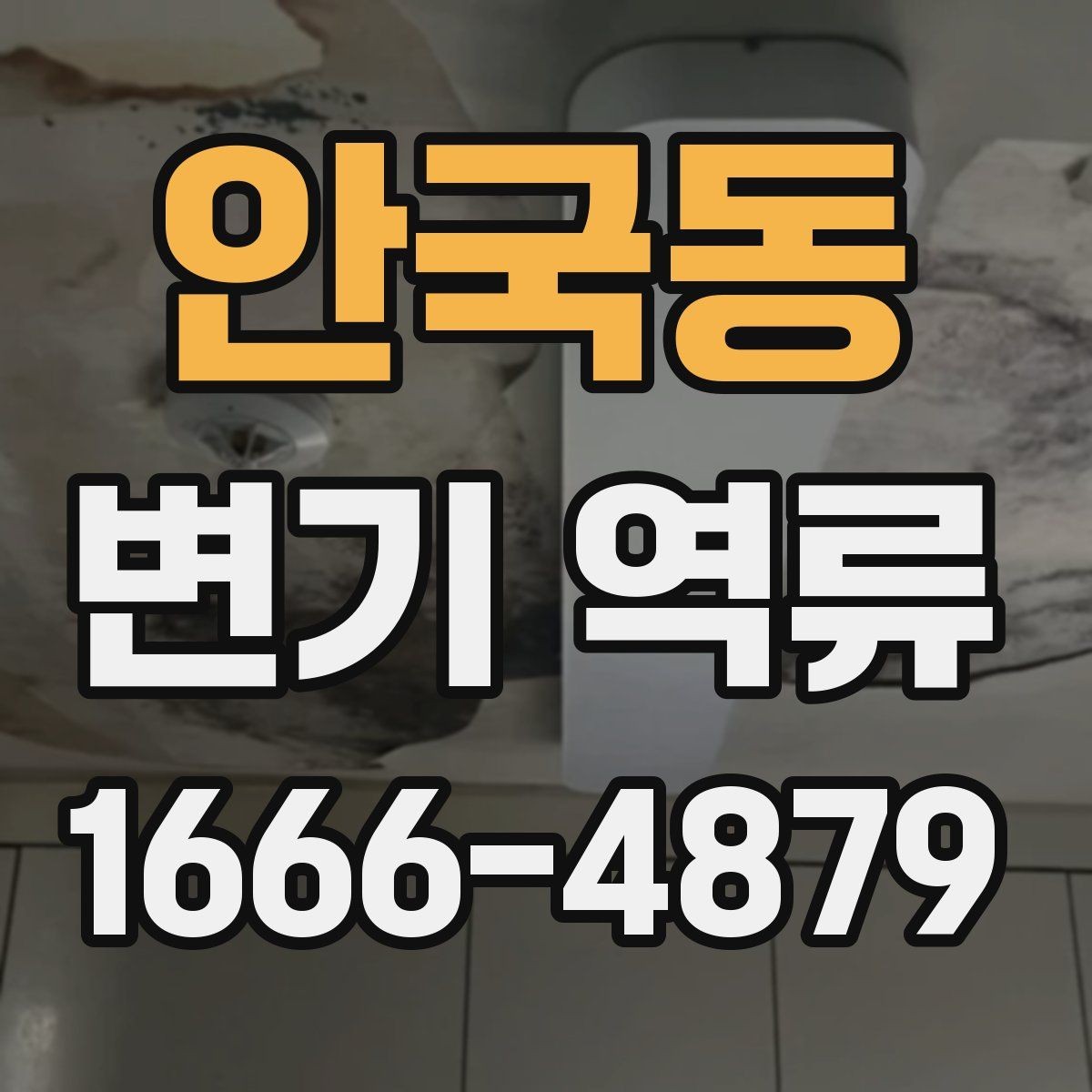 안국동 변기 역류 문제를 줄이는 관리 요령