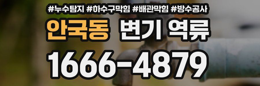 안국동 변기 역류