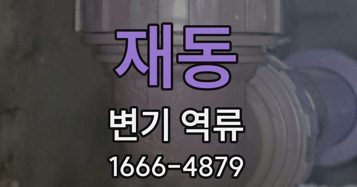 재동 변기 역류