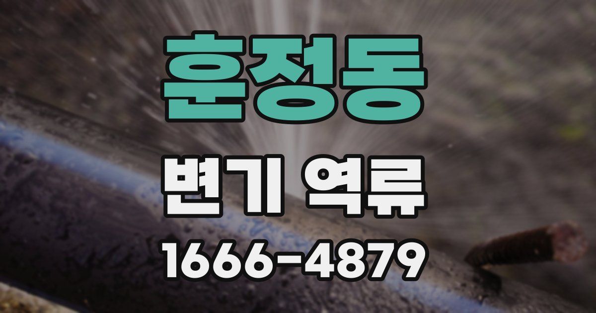 훈정동 변기 역류