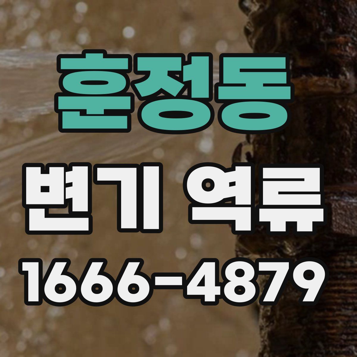 훈정동 변기 역류