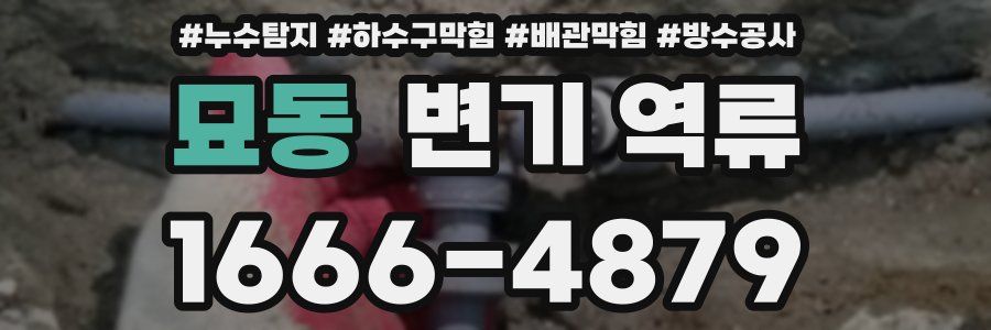묘동 변기 역류