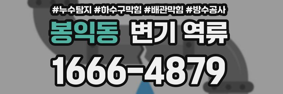 봉익동 변기 역류