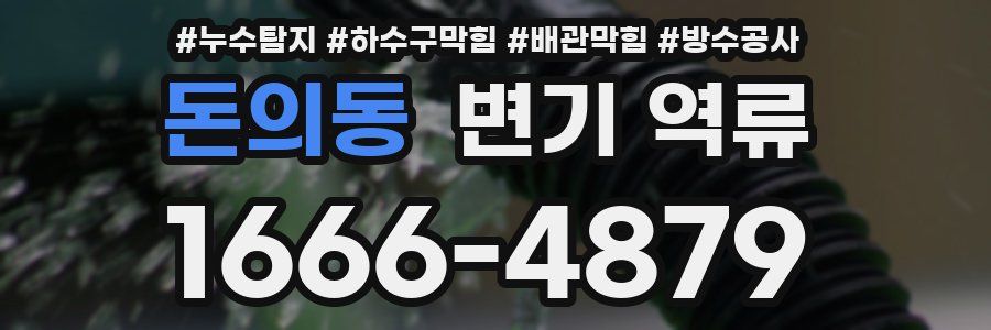 돈의동 변기 역류