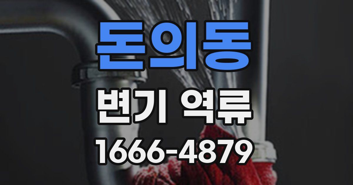 돈의동 변기 역류