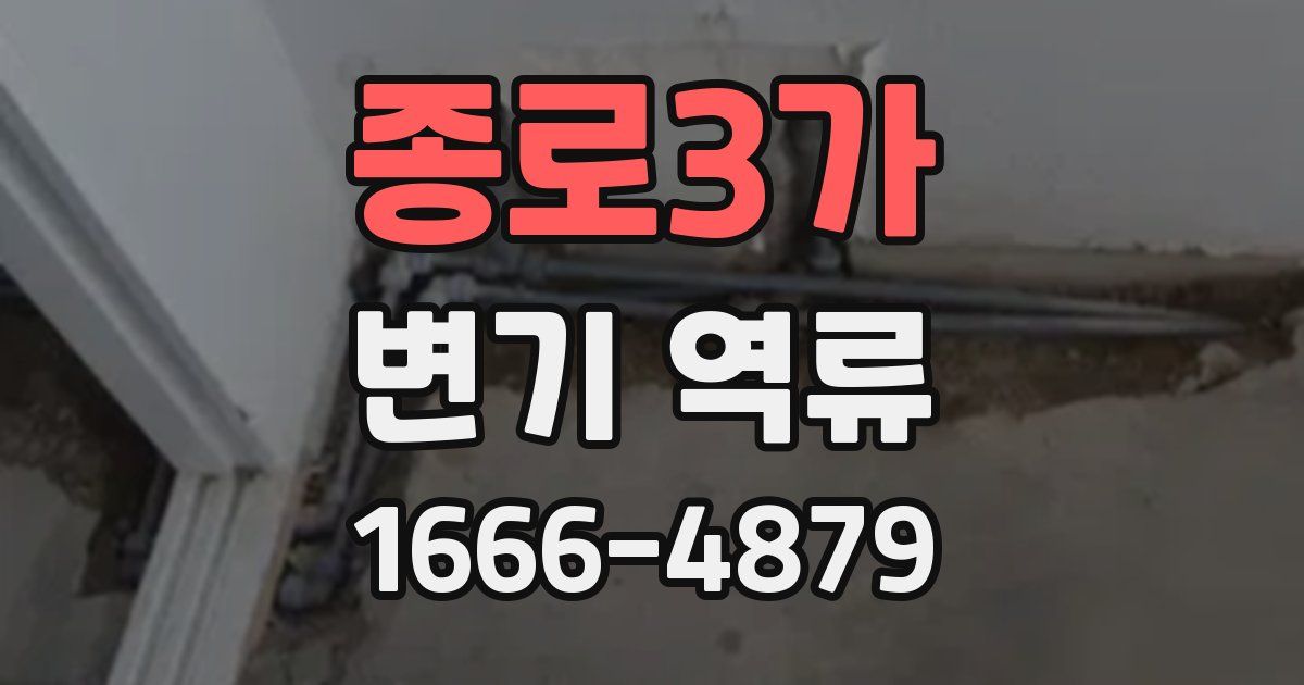 종로3가 변기 역류