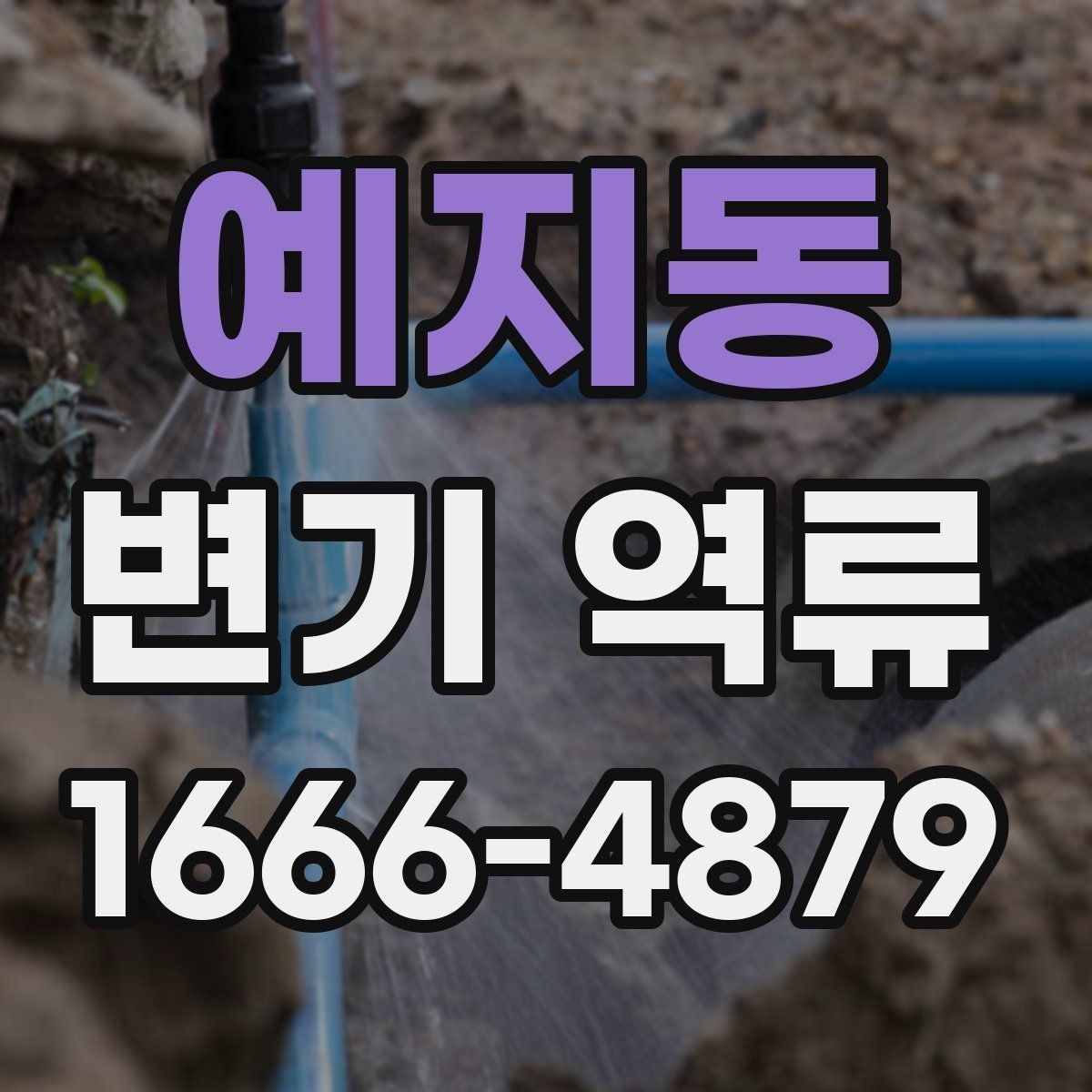 예지동 변기 역류 변기 뚜껑 안쪽보다 배수구를 봐야 하는 이유