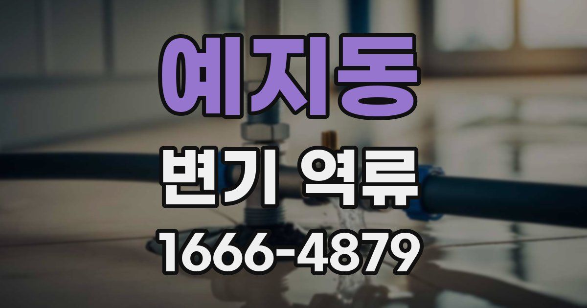 예지동 변기 역류