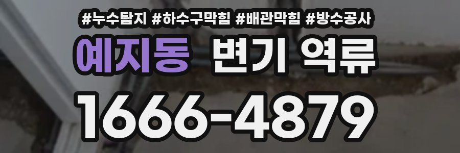 예지동 변기 역류