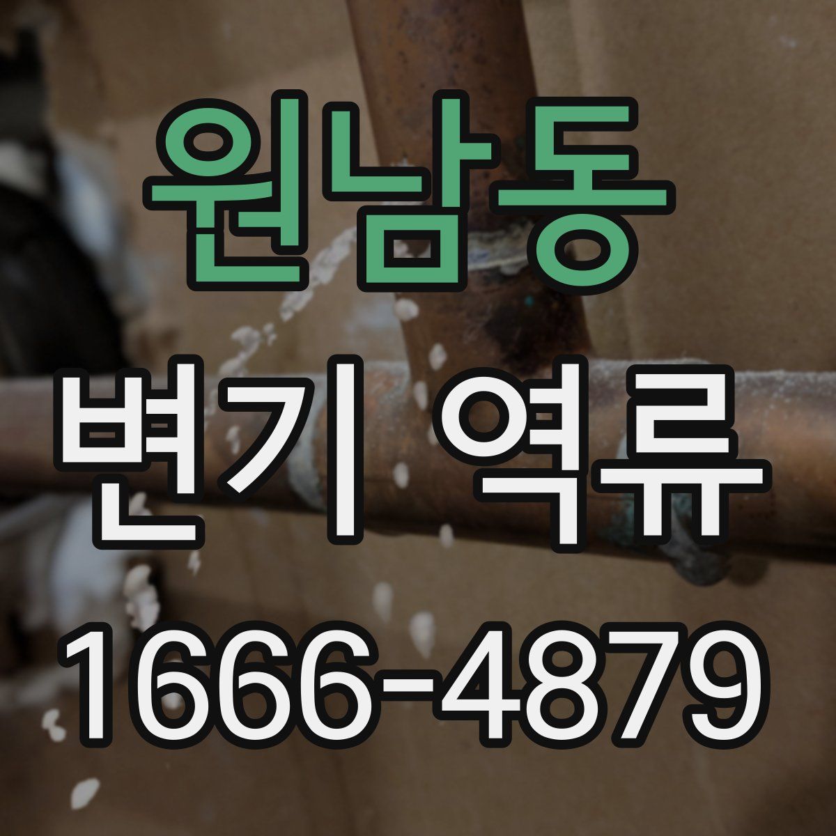 원남동 변기 역류