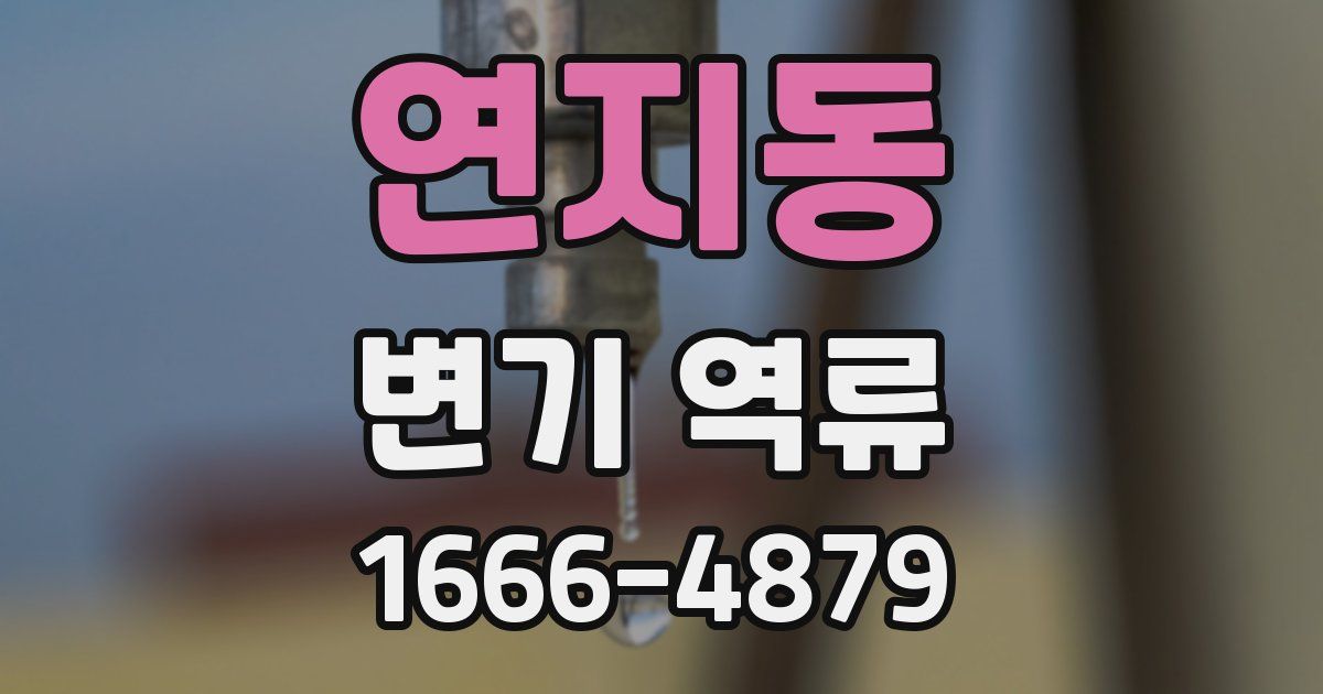 연지동 변기 역류