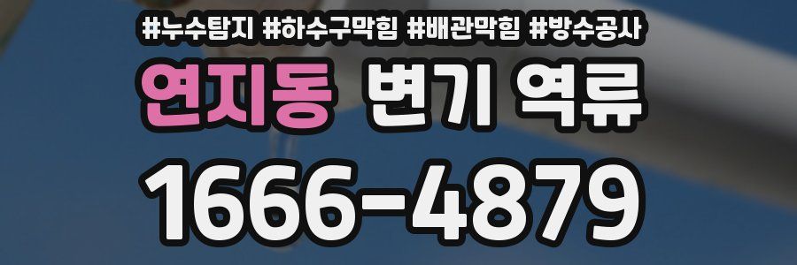연지동 변기 역류