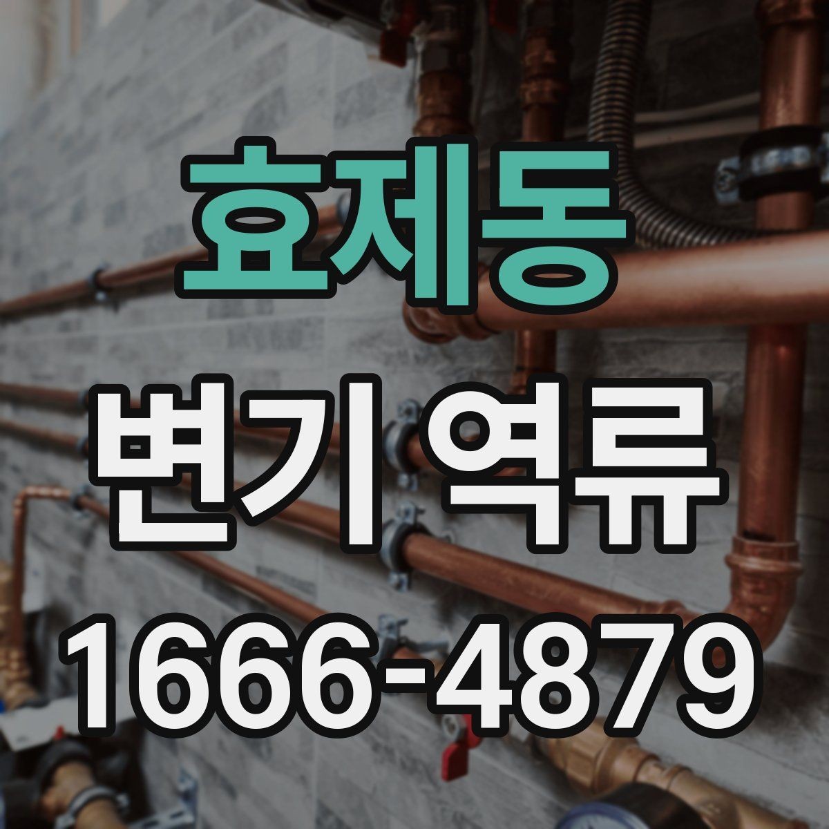 효제동 변기 역류 변기 주변 누수와 함께 나타나면
