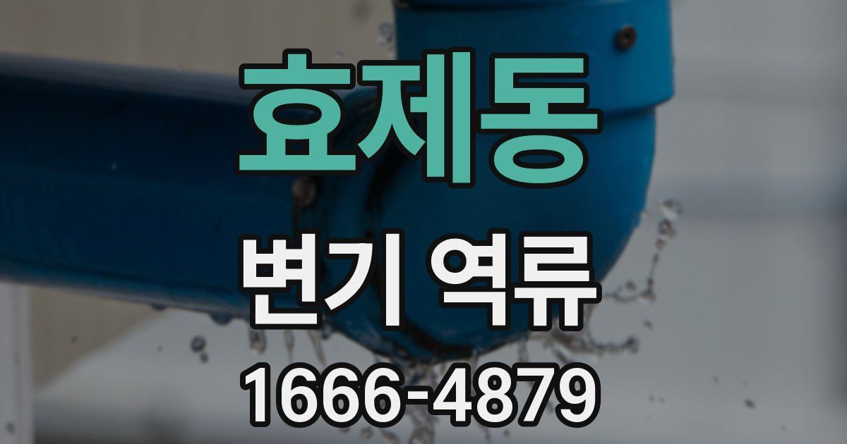 효제동 변기 역류