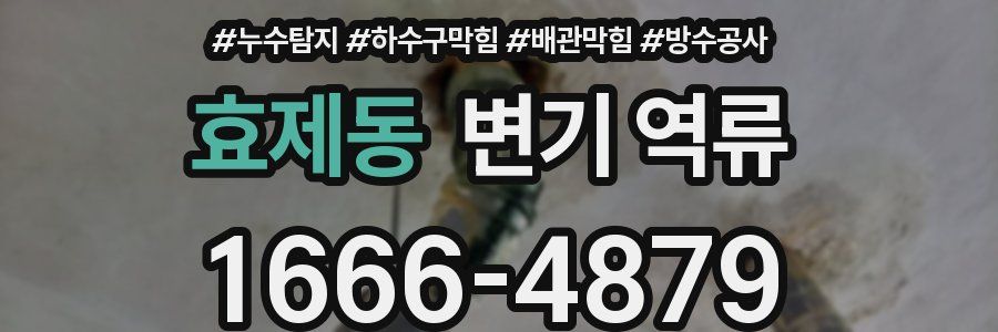 효제동 변기 역류