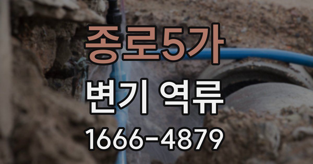 종로5가 변기 역류