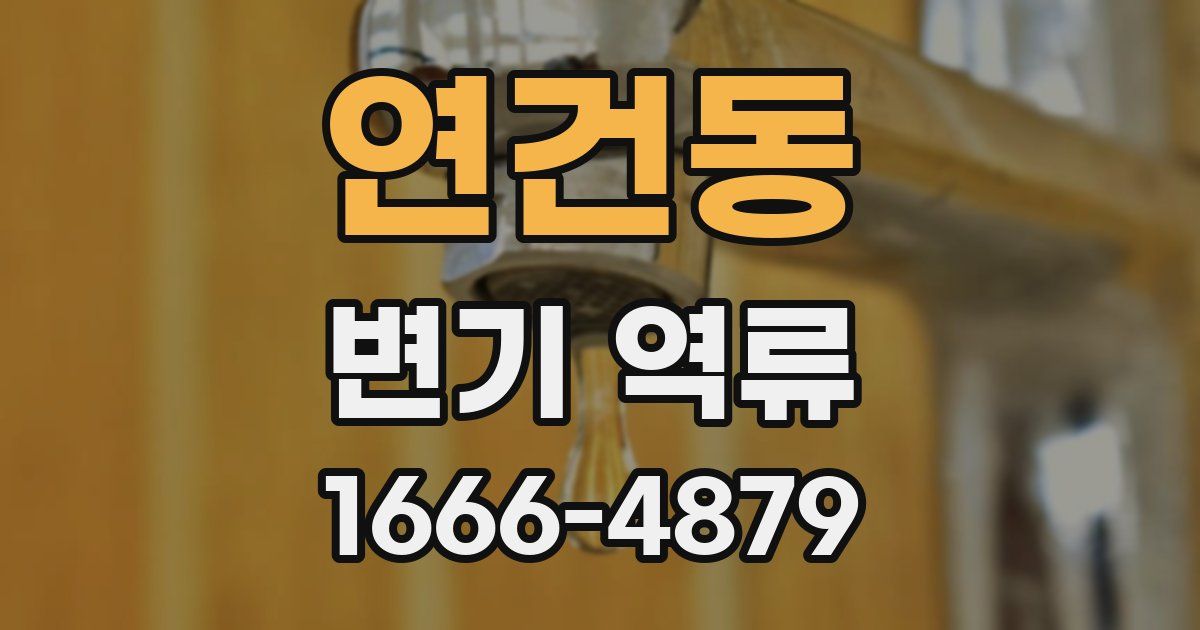 연건동 변기 역류