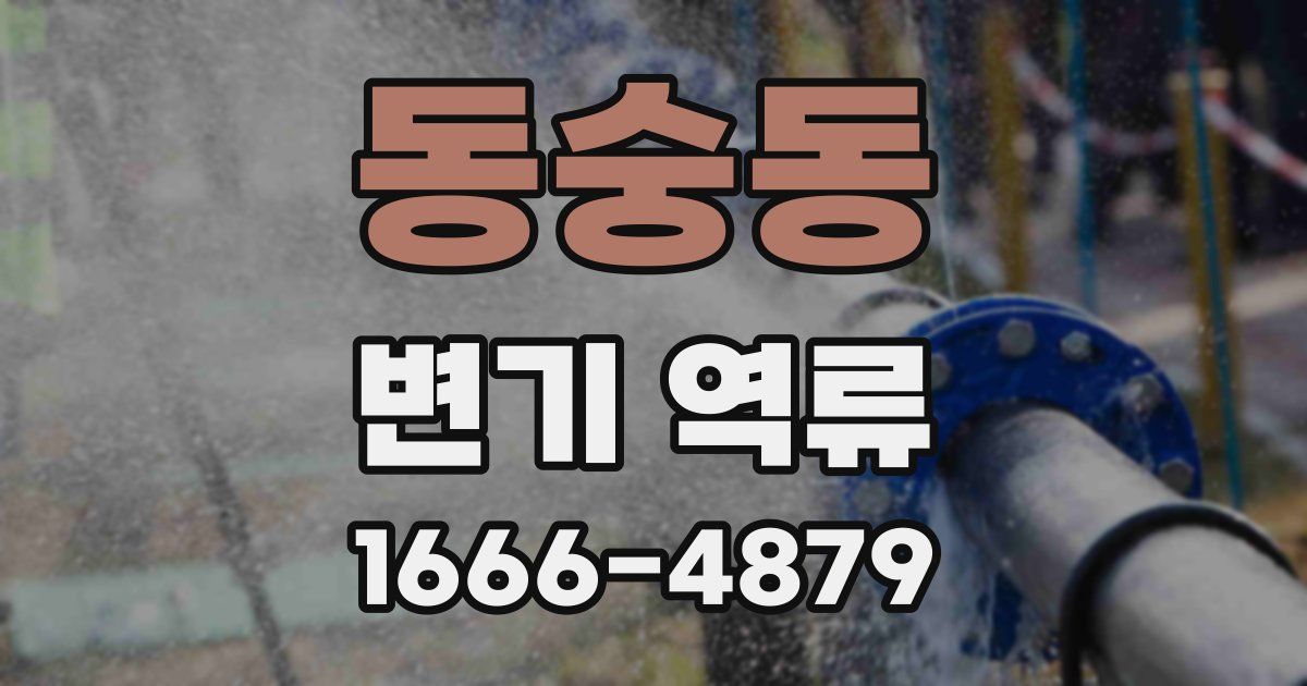 동숭동 변기 역류