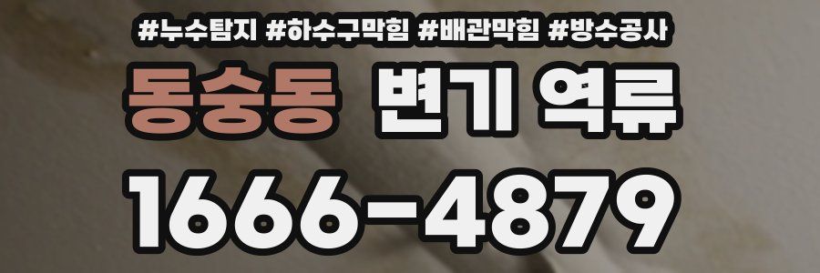 동숭동 변기 역류