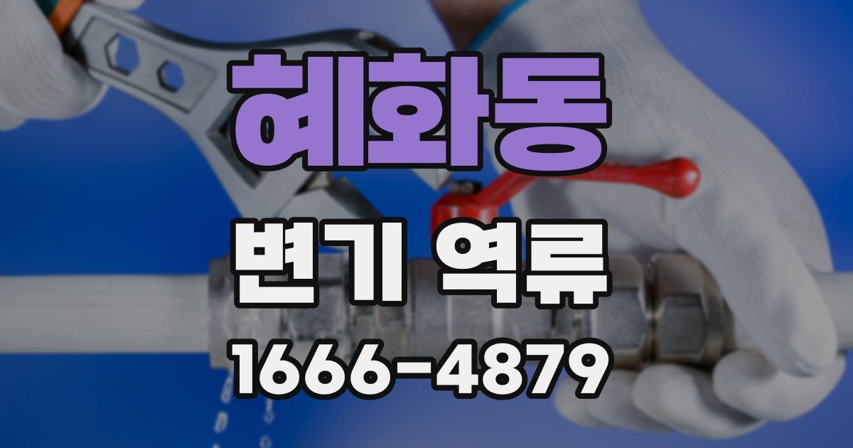 혜화동 변기 역류