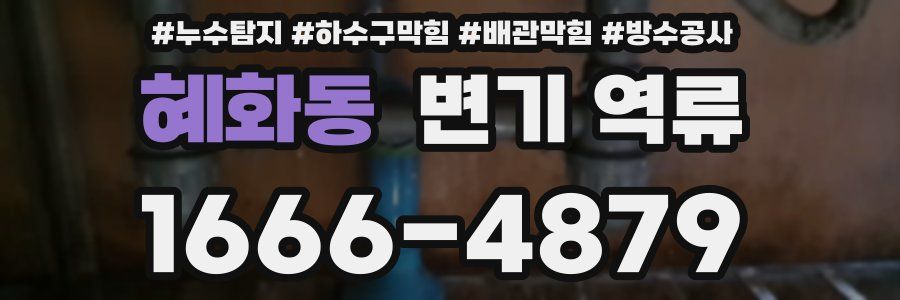 혜화동 변기 역류