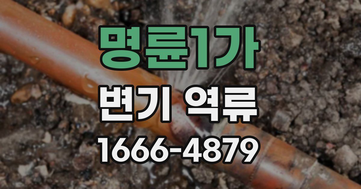 명륜1가 변기 역류