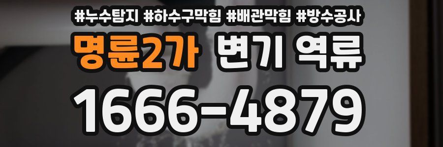 명륜2가 변기 역류