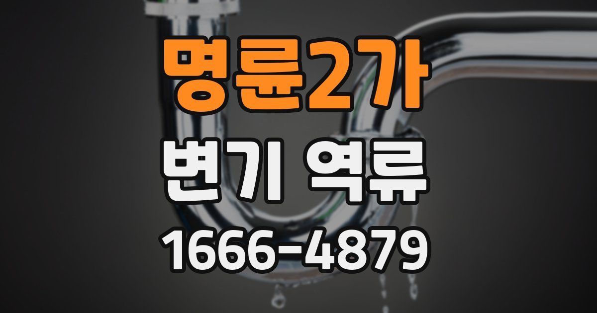 명륜2가 변기 역류