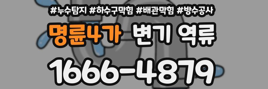 명륜4가 변기 역류