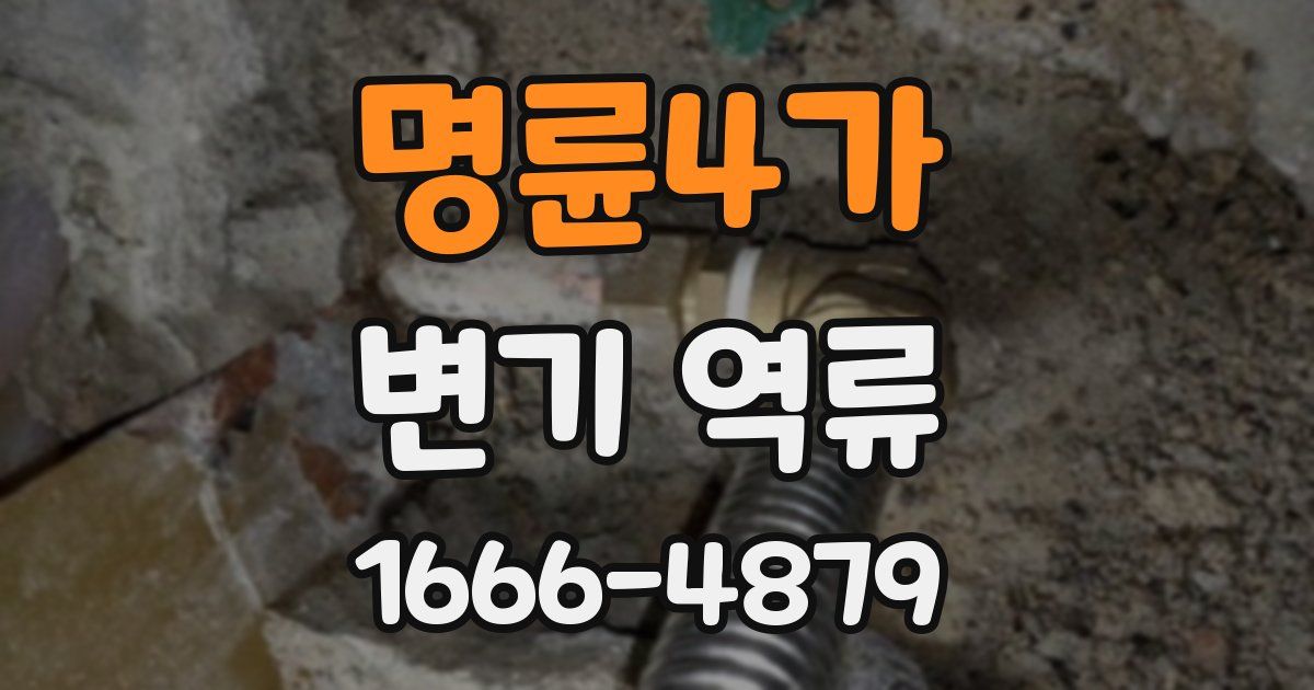 명륜4가 변기 역류