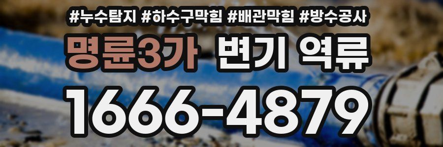 명륜3가 변기 역류