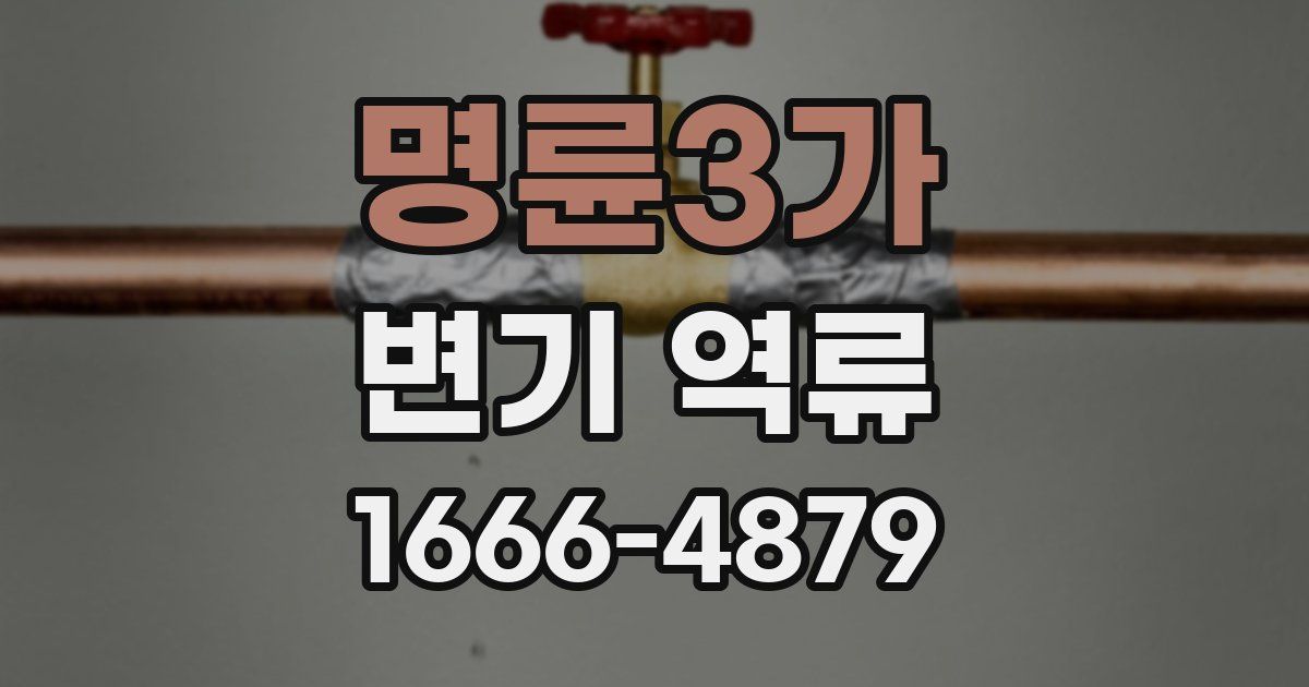 명륜3가 변기 역류
