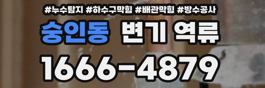 숭인동 변기 역류